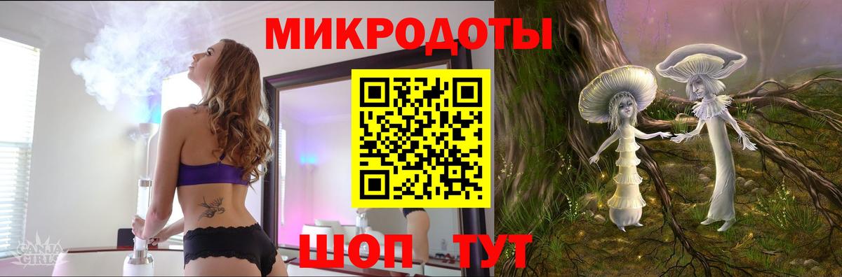 Псилоцибиновые грибы Psilocybe Ливны