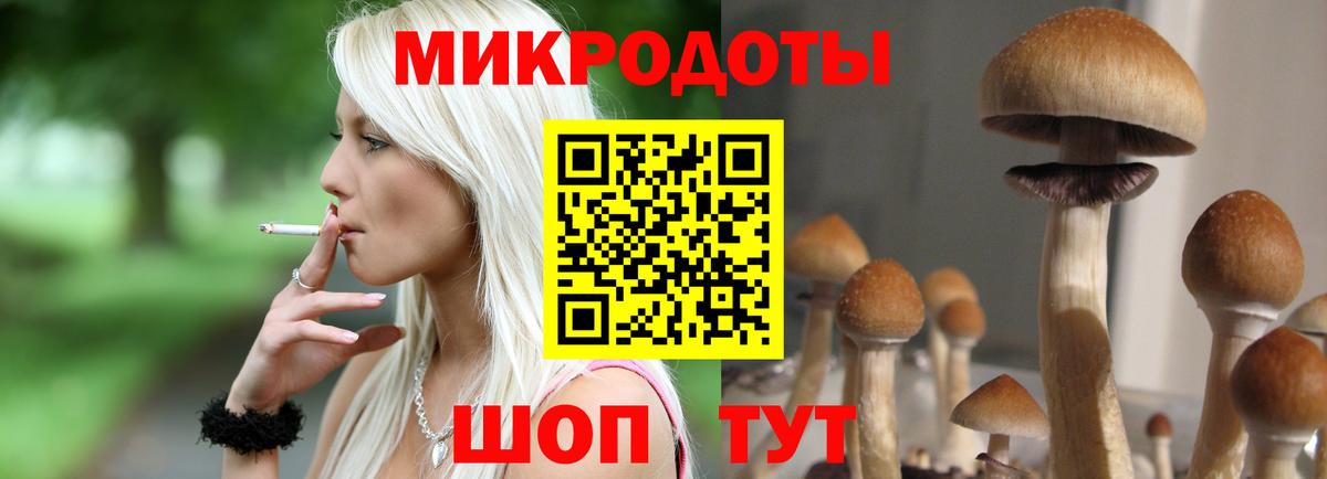 Ливны  Галлюциногенные грибы Cubensis  Вход с VPN 